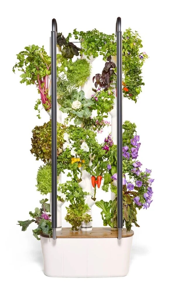 Source: WGSN. Gardyn’s  (US) Hydroponic Indoor Tower is a vertical indoor gardening system that uses AI tech to automate water and light schedules, enabling users to cultivate up to 30 plants in a compact space, promoting sustainable and efficient gardening
